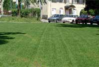 Eco Grid