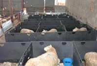 Sheep Pens