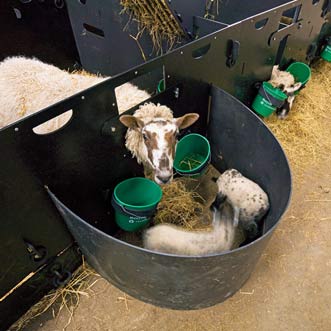 Anti Escape Pen