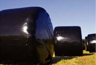recycled plastic products