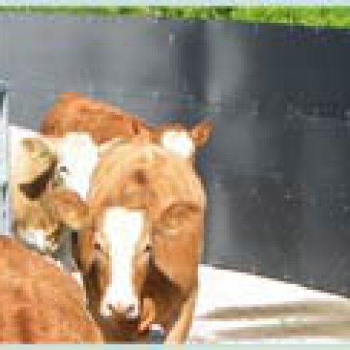 Farmers
