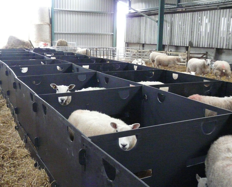 Indoor Lambing Pens Deluxe Sheep Pens Back To Back