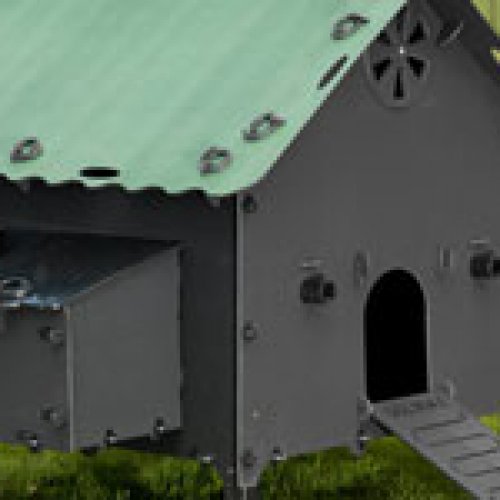 Pig & Poultry
