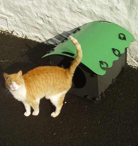 pussy hoose cat house gift